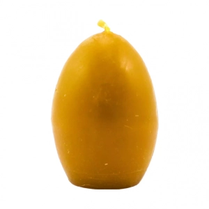 zdjecie